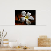 Poster Plumeria (Cuisine)