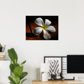 Poster Plumeria (Bureau à domicile)