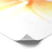 Poster Plumeria blanche (Coin)