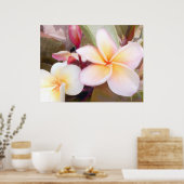 Poster Plumeria blanche (Cuisine)