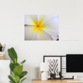 Poster Plumeria blanche (Bureau à domicile)