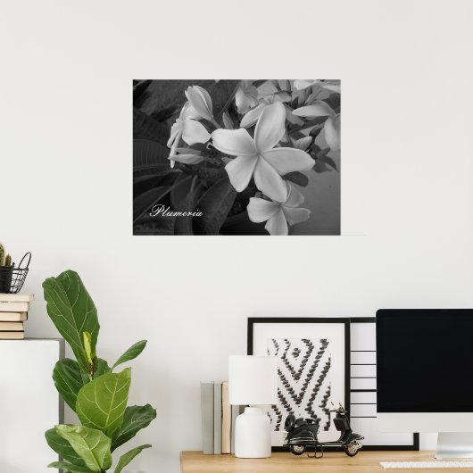 Poster plumeria - Customisée (Bureau à domicile)