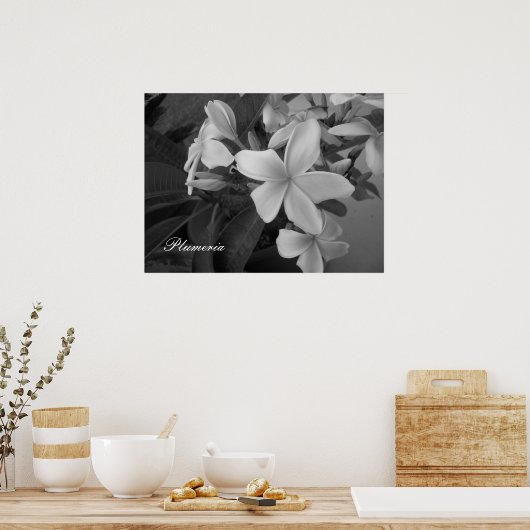 Poster plumeria - Customisée (Cuisine)