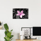 Poster Plumeria en fleurs (Bureau à domicile)