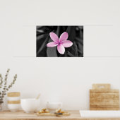 Poster Plumeria en fleurs (Cuisine)