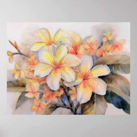 Poster Plumeria et Shell Ginger (Devant)