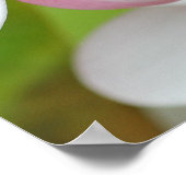 Poster Plumeria Frangipani Hawaii Flower Customized Blank (Coin)