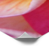 Poster Plumeria hawaïenne (Coin)