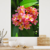 Poster Plumeria hawaïenne (Cuisine)
