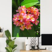 Poster Plumeria hawaïenne (Bureau à domicile)