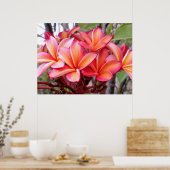 Poster Plumeria hawaïenne (Cuisine)