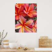 Poster Plumeria hawaïenne (Cuisine)