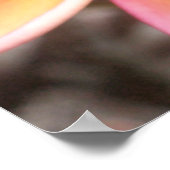 Poster Plumeria hawaïenne (Coin)