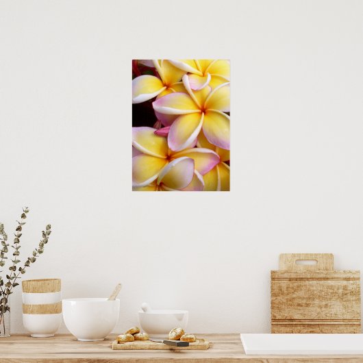 Poster Plumeria hawaïenne (Cuisine)