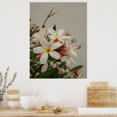 Poster Plumeria hawaïenne (Cuisine)