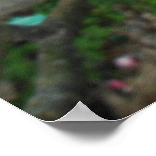 Poster Plumeria hawaïenne (Coin)