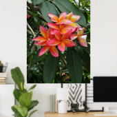 Poster Plumeria hawaïenne (Bureau à domicile)