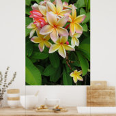 Poster Plumeria hawaïenne (Cuisine)