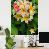 Poster Plumeria hawaïenne (Bureau à domicile)