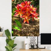 Poster Plumeria hawaïenne (Bureau à domicile)