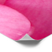 Poster Plumeria hawaïenne (Coin)