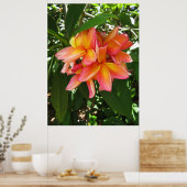 Poster Plumeria hawaïenne (Cuisine)