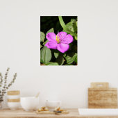 Poster Plumeria hawaïenne rose (Cuisine)