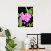 Poster Plumeria hawaïenne rose (Bureau à domicile)