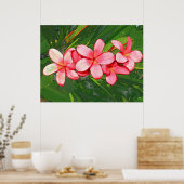 Poster Plumeria rose (Cuisine)