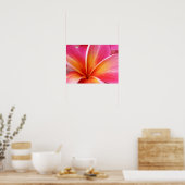 Poster Plumeria rose Frangipani Hawaii Fleur Hawaii Hawai (Cuisine)
