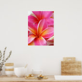 Poster Plumeria rose Frangipani Hawaii Fleur Hawaii Hawai (Cuisine)