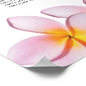 Poster Plumeria rose Frangipani Mariage (Coin)