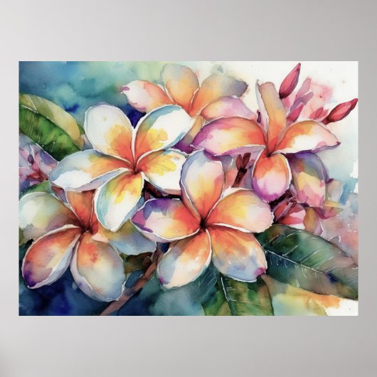 Poster Plumeria rose hawaïenne (Devant)