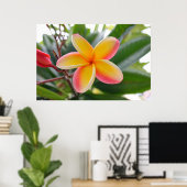 Poster Plumeria rouge et jaune 1 (Bureau à domicile)