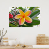 Poster Plumeria rouge et jaune 1 (Cuisine)