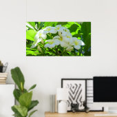Poster Plumeria Salutation matin (Bureau à domicile)