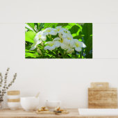 Poster Plumeria Salutation matin (Cuisine)