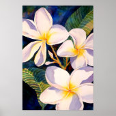 Poster Plumerias Aglow (Devant)