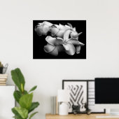 Poster Plumerias en noir et blanc (Bureau à domicile)
