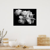 Poster Plumerias en noir et blanc (Cuisine)