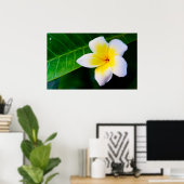 Poster plumérie (Bureau à domicile)