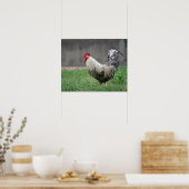 Poster "Plumes" (Cuisine)