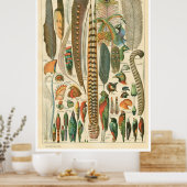  Poster Plumes (Keuken)