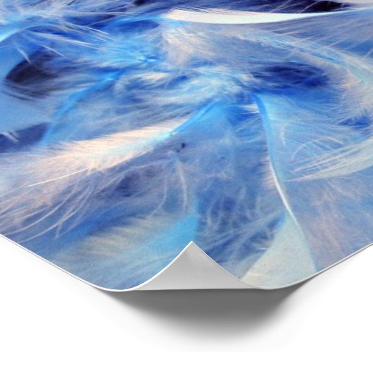 Poster Plumes (Coin)