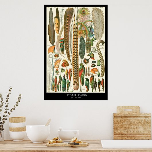 Poster Plumes (Cuisine)