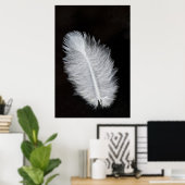Poster Plumes (Bureau à domicile)