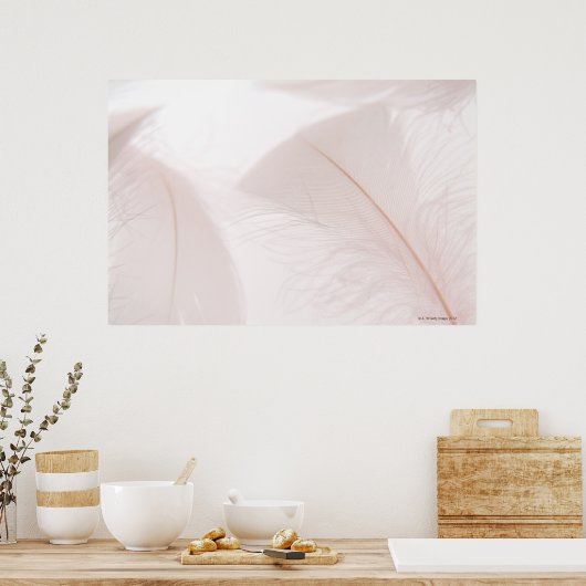 Poster Plumes blanches (Cuisine)