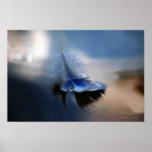 Poster Plumes blanches