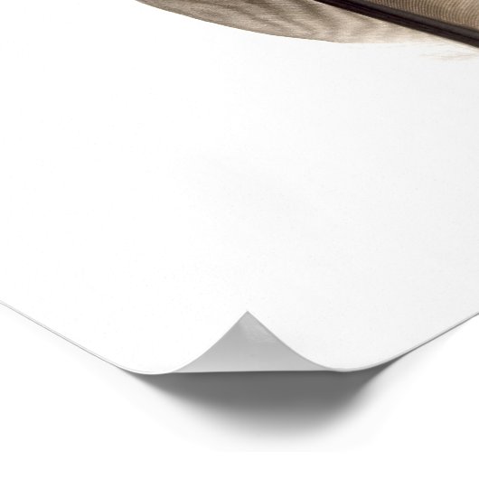 Poster Plumes blanches fragiles (Coin)