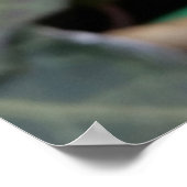 Poster plumes congelées (Coin)